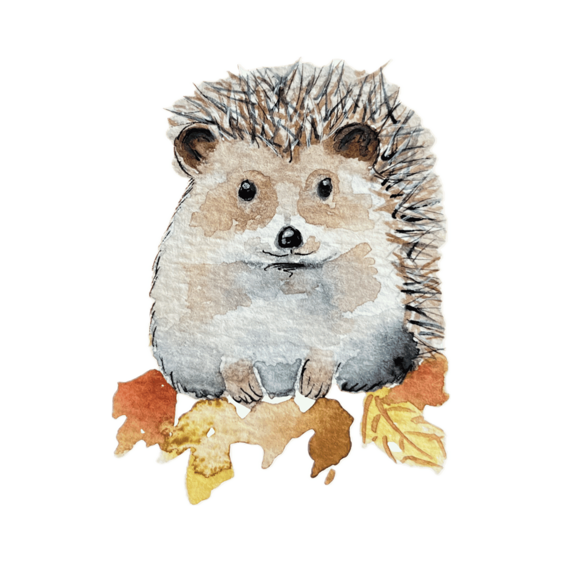 Bügelbild Igel Christinas Kartenkunst