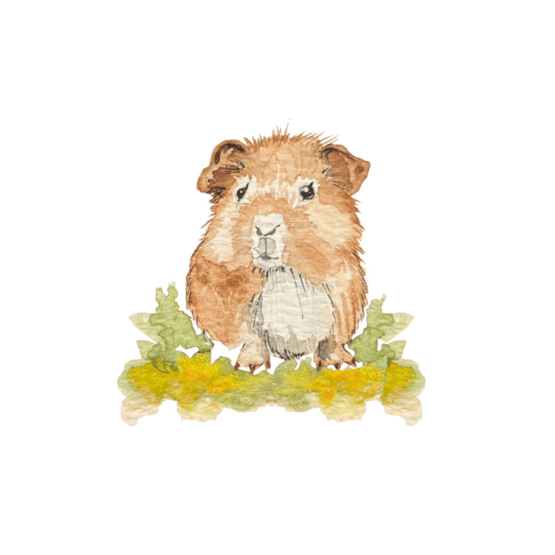 Bügelbild Meerschwein Christinas Kartenkunst