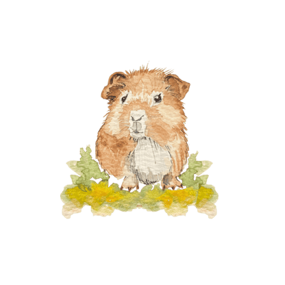 Bügelbild Meerschwein Christinas Kartenkunst