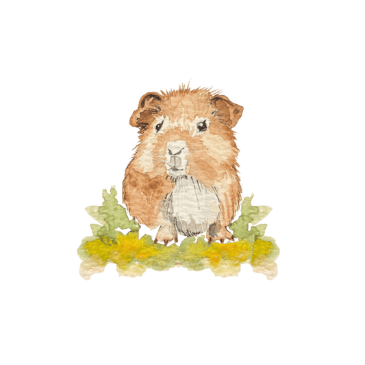 Bügelbild Meerschwein Christinas Kartenkunst