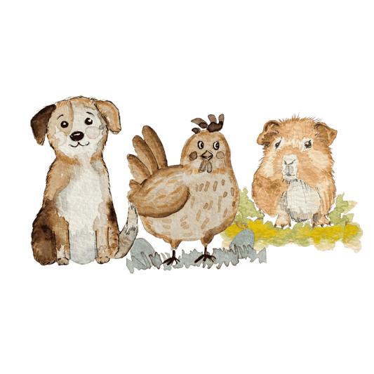 3er-Set Bügelbilder mit Hund, Henne, Meerschweinchen Christinas Kartenkunst